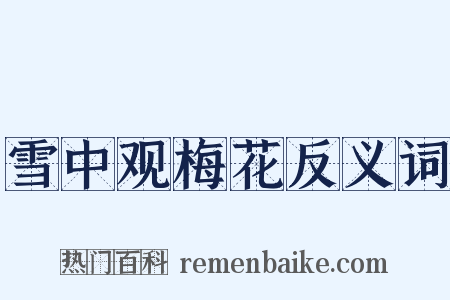 雪中观梅花反义词是什么意思的图片